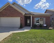 8223 Cedar Crest Ln, Louisville image