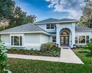 604 Spring Blossom Court, Brandon image