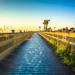 Palm Coast Real Estate