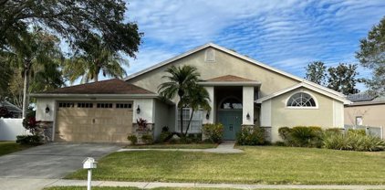 1765 Pipers Meadow Dr, Palm Harbor