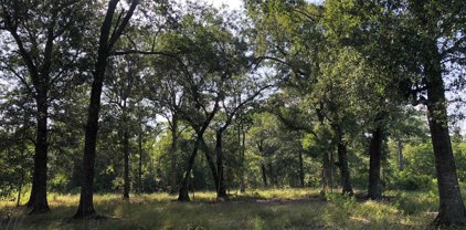 5785 Rebel Rd, Vidor