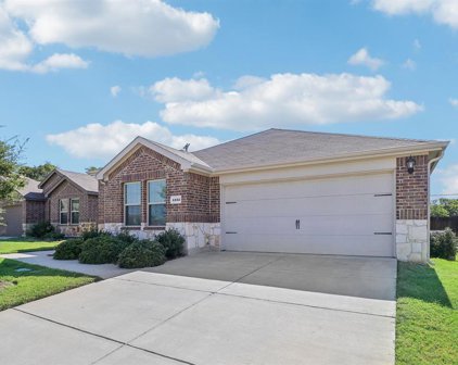 1232 Trevino  Road, Forney