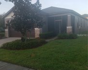 4517 Paper Mulberry Place, Riverview image