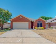 10465 Fossil Hill  Drive, Fort Worth image