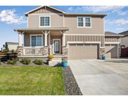 1723 Branching Canopy Dr, Windsor image