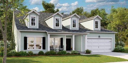 1111 Fitzgerald Court, Summerville