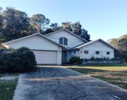 10241 Timber Wolf Court, New Port Richey image