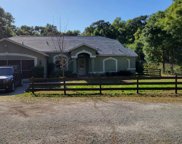 18411 Deason Drive, Spring Hill image