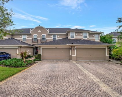 7483 Terrace River Drive, Tampa