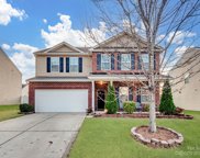 8823 Gray Willow  Road, Charlotte image
