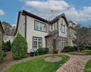 349 Charndon Village  Court, Charlotte image