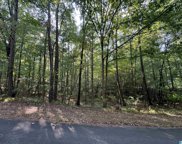 6329 Mountainside Trail Unit 206, Pinson image