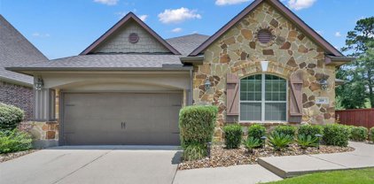 219 N Vershire Circle, Magnolia