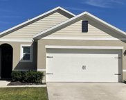 1157 Belfast Place, Haines City image