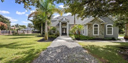 5303 Jessamine Lane, Orlando