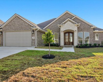 1726 E Blue Stem, Beaumont