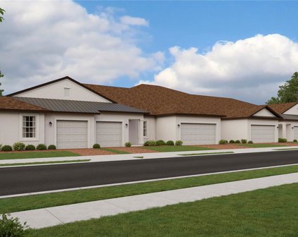 16860 Forge Surf Street, Land O' Lakes