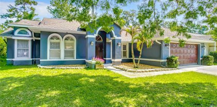 271 Silk Bay Place, Longwood