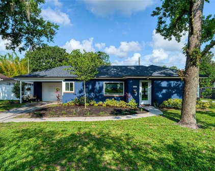 1602 S Fern Creek Avenue, Orlando