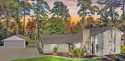 18910 Sandpiper Lane, Tomball