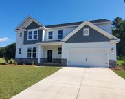 584 Wild Ginger Loop, Irmo image