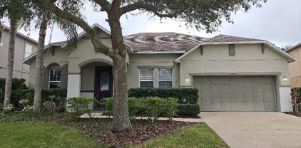 10426 Chorlton Circle, Orlando