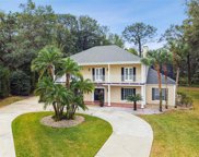 484 Villa Nova Point, Longwood image