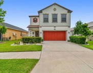 21324 Southern Charm Dr, Land O Lakes image