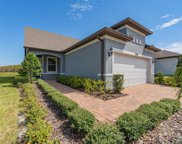 19517 Ship Wheel Way, Land O' Lakes image