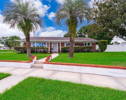 824 Springwood Drive, Orlando