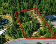 NNA Lookout, Coeur d'Alene image