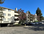39993 Fremont Boulevard Unit #103, Fremont image