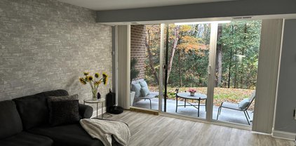 1556 Northgate Sq Unit #1556-1B, Reston