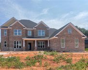 924 Donegal Drive, Locust Grove image