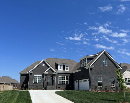 1313 Von Hallen Ct, Murfreesboro