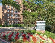 10850 Green Mountain Cir Unit #312, Columbia image