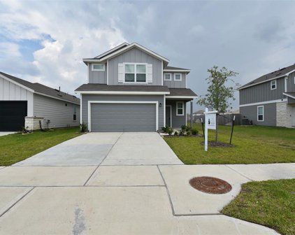 23526 Fallen Cone Street, Spring
