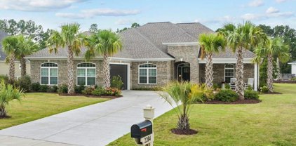 2204 Wood Stork Dr., Conway