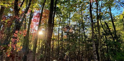 TBD Roaring Ridge/Trout Lake Road, Deep Gap