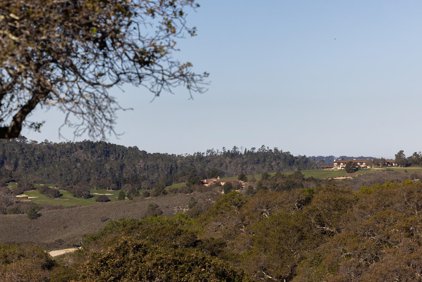 8425 Alta Tierra, Carmel