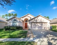 8612 Baneberry Court, Tampa image