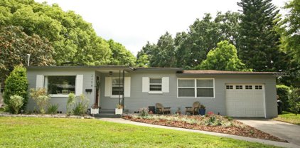 2208 Hargill Drive, Orlando