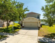 13543 Fladgate Mark Drive, Riverview image