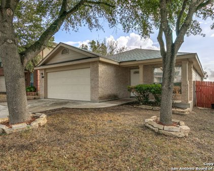 7334 Lyia Branch, San Antonio