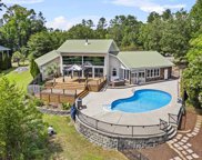 1308 Silver Point Road, Chapin image