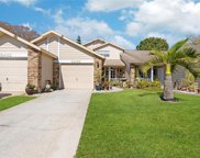 6435 Thicket Trail, New Port Richey image