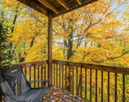 2043 Woods Lane Unit #33, Petoskey image