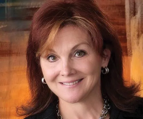 sue knox - north carolina realtor/broker