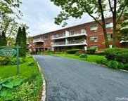 320 E Shore Road Unit #23, Great Neck image