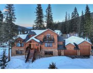 397 Whispering Pines  Circle, Blue River image
